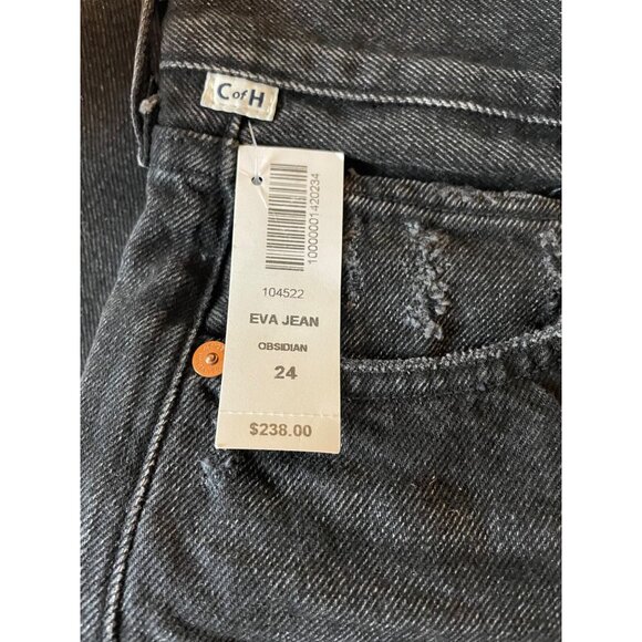 Aritzia Citizens of Humanity Eva High-Rise Baggy Jeans in Obsidian Size 24 - Picture 13 of 16